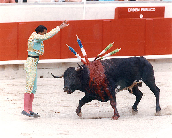 Bullfighting.jpg